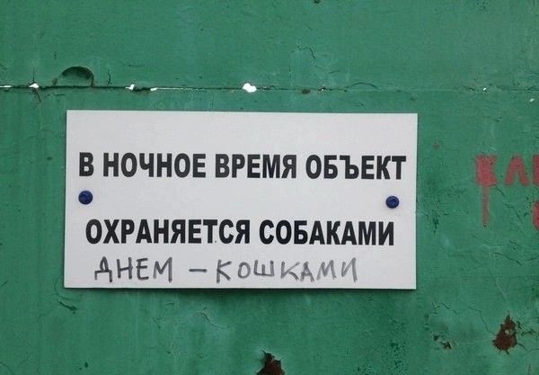 matilda_hide's tweet photo. однако, доброе утро https://t.co/rx0TidVzeR