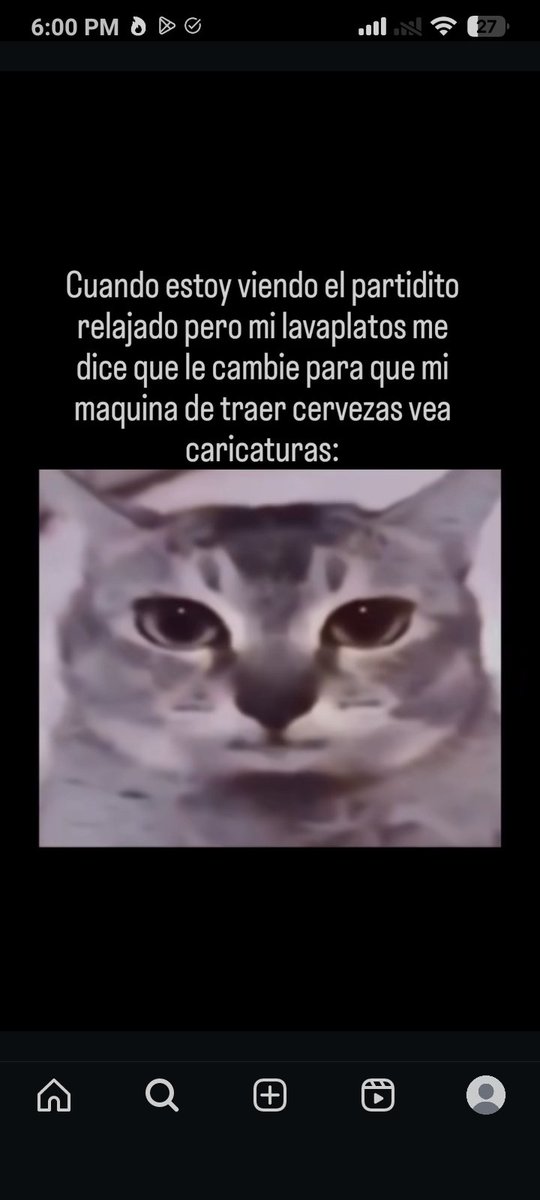 Plomplimplom's tweet photo. @IWBSKGIRL @Mowgli420 https://t.co/Jej3gP2lPT