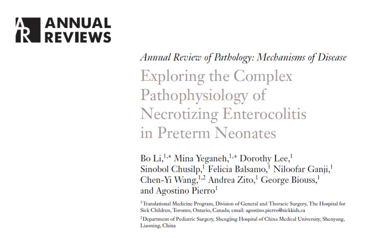 Peter Bo Li tweet media