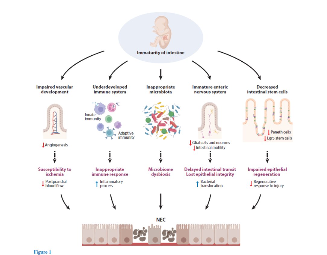Peter Bo Li tweet media