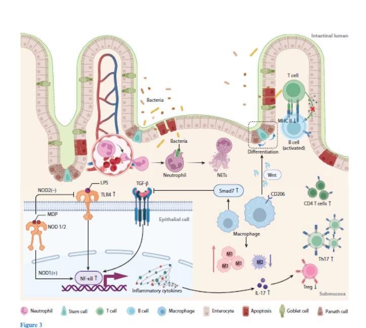 Peter Bo Li tweet media