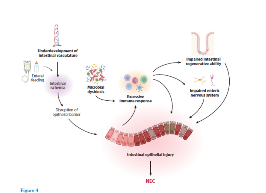 Peter Bo Li tweet media