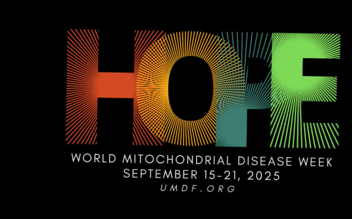 Burak Altintas tweet media