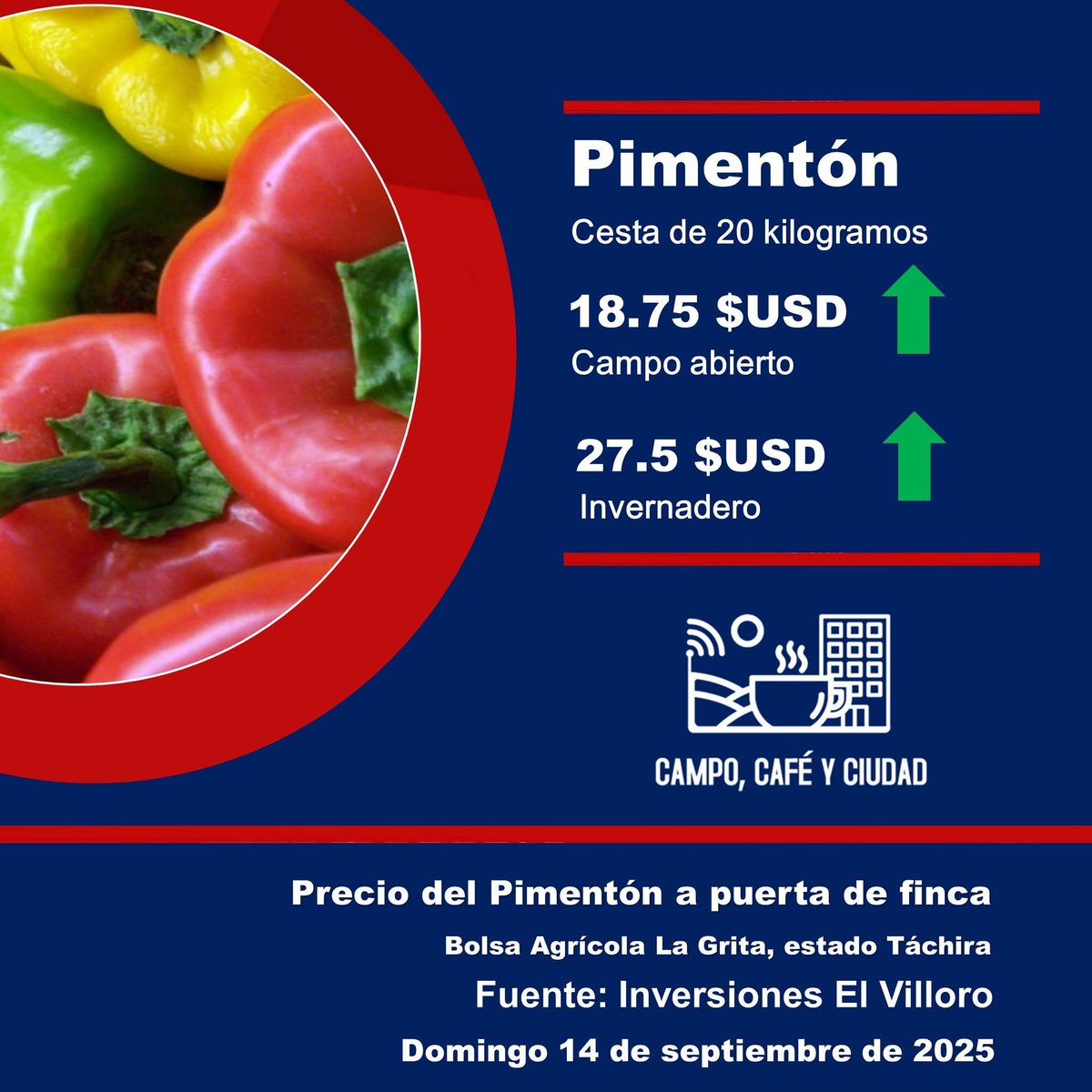 campocafeciudad's tweet image. Precio referencial del Pimentón (cesta de 20 kilogramos) a puerta de finca. Bolsa Agrícola #LaGrita, estado #Táchira. Venezuela. 
 
Fecha: domingo #14Sep

Fuente: Inversiones El Villoro – Instagram @inversioneselvilloro

#Venezuela #Agricultura #AgroEconomía #CampoCafeCiudad