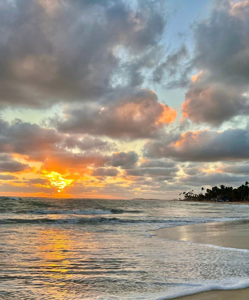 My brain on beach mode: 80% ocean, 15% nap, 5% remembering where I put my sandals. Perfect. 😎