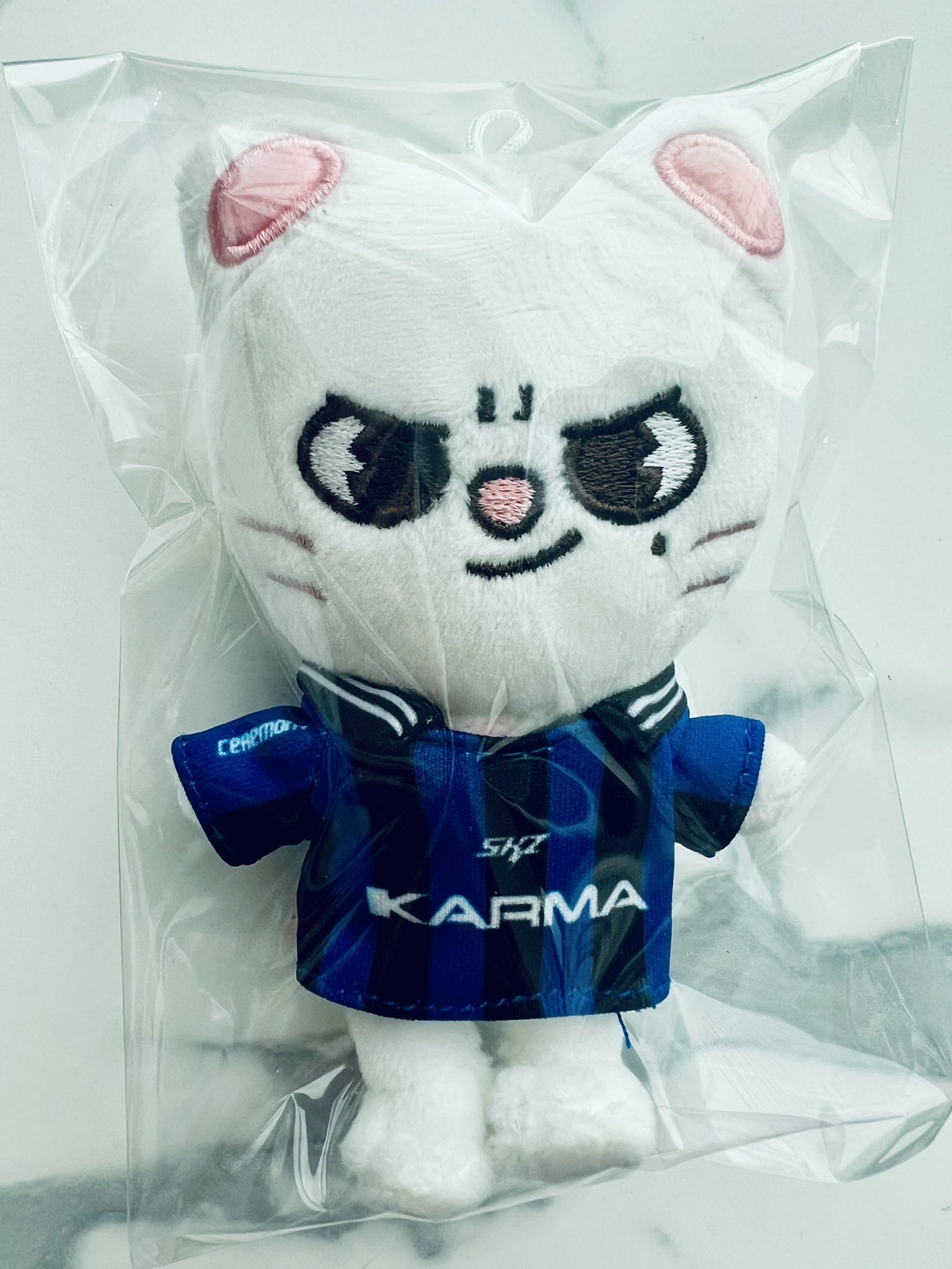 アイエン　karma skzoo キーリング　トレカ　フォクシニー アイエン karma skzoo キーリング トレカ フォクシニー