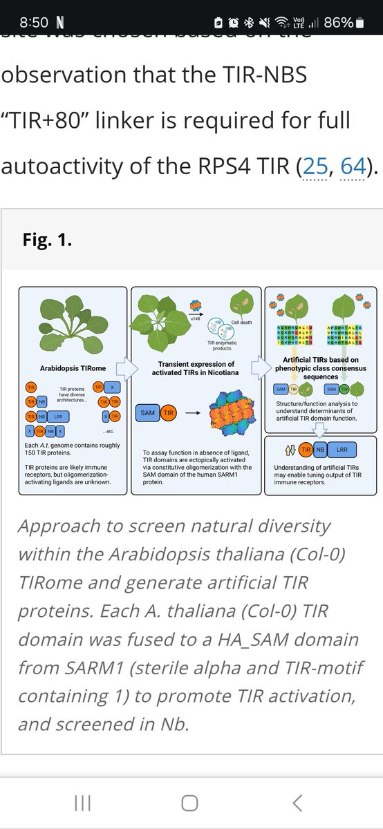 Mitchell Sorbello tweet media