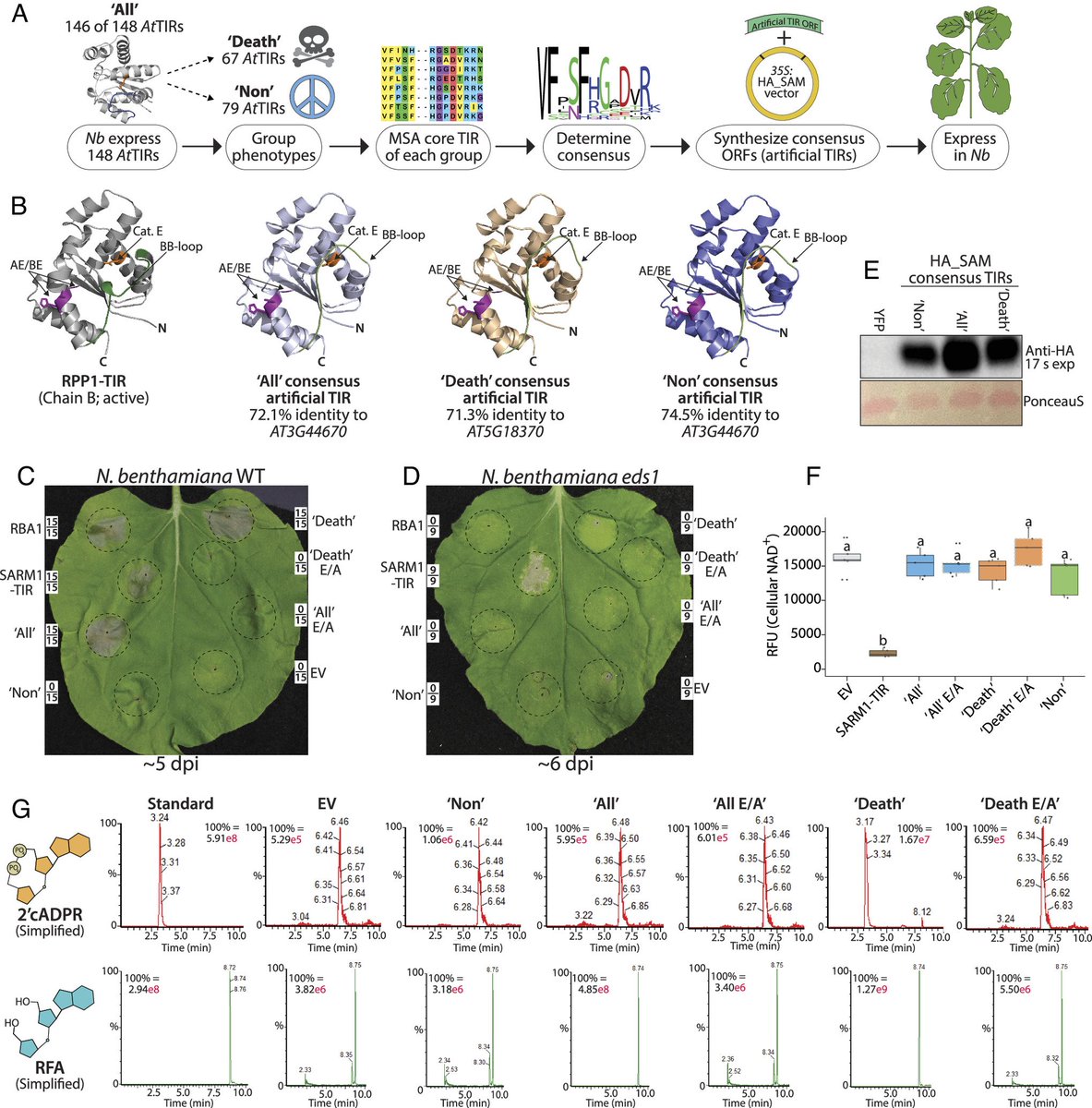 Mitchell Sorbello tweet media