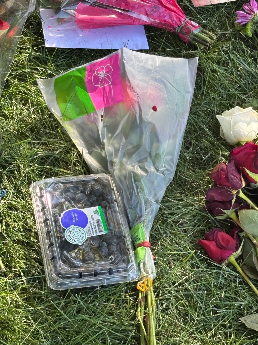 Danny Shannon, PE tweet media