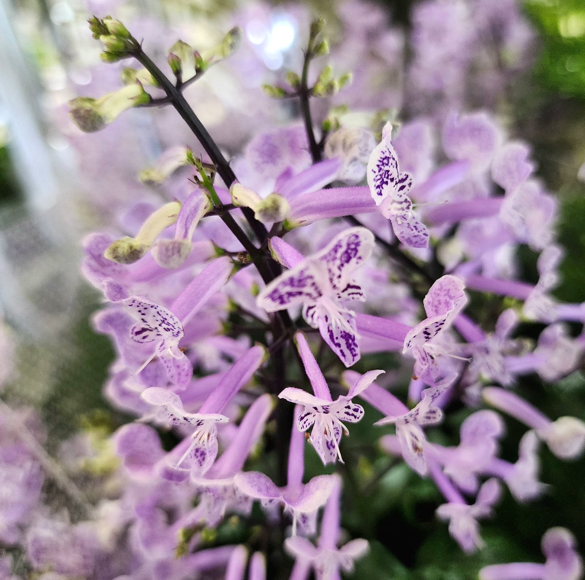 おはようございます👋😆

今日は静岡県清水区で🚚仕事
朝から蒸し暑さも増してます
体調を崩さないように頑張りましょう

水分補給🥤こまめに