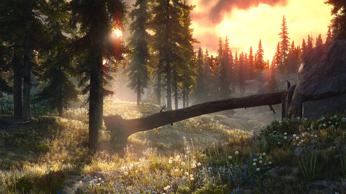 VirtualShutter_'s tweet image. 📸 Shutter Shot of the Day:
👤👉 Artist: @calisarah1998
🎮 Game: Days Gone Remastered / @BendStudio
🔎 #VirtualShutter #VirtualPhotography #PhotoMode #DaysGoneRemastered #DaysGone
