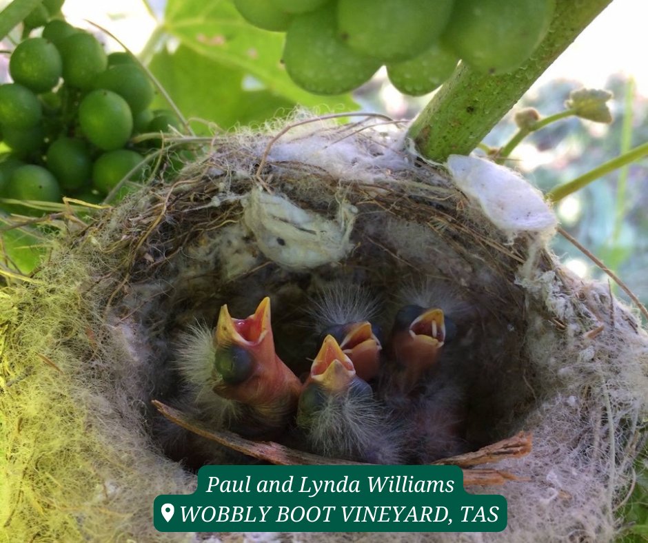 Wildlife Land Trust tweet media