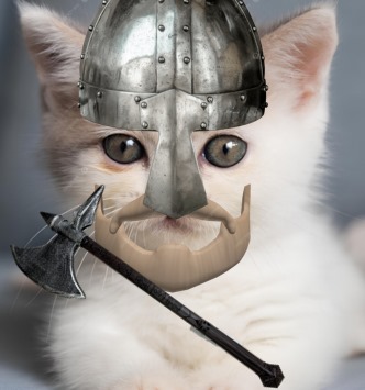 Ojohohojojohohjoohohhojoohojoh 49