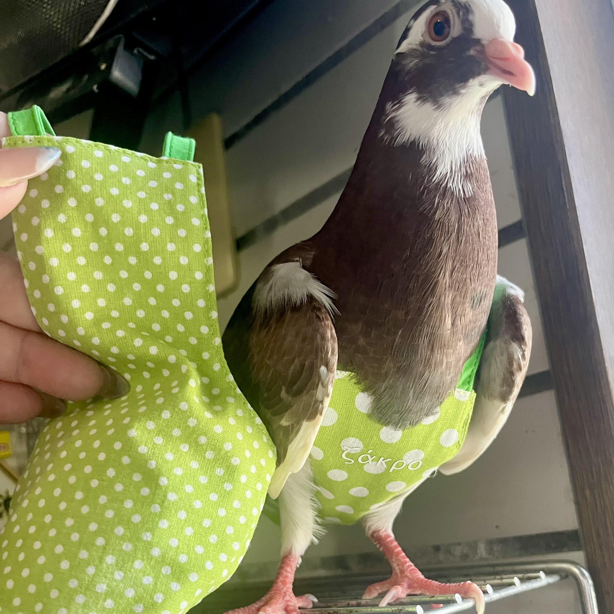 カヤ　　☪︎⋆☽様お取り置き　1/14まで　鳥　レジンヘアゴム　桜　和色 カヤ ☪︎⋆☽様お取り置き 1/14まで 鳥 レジンヘアゴム 桜 和色