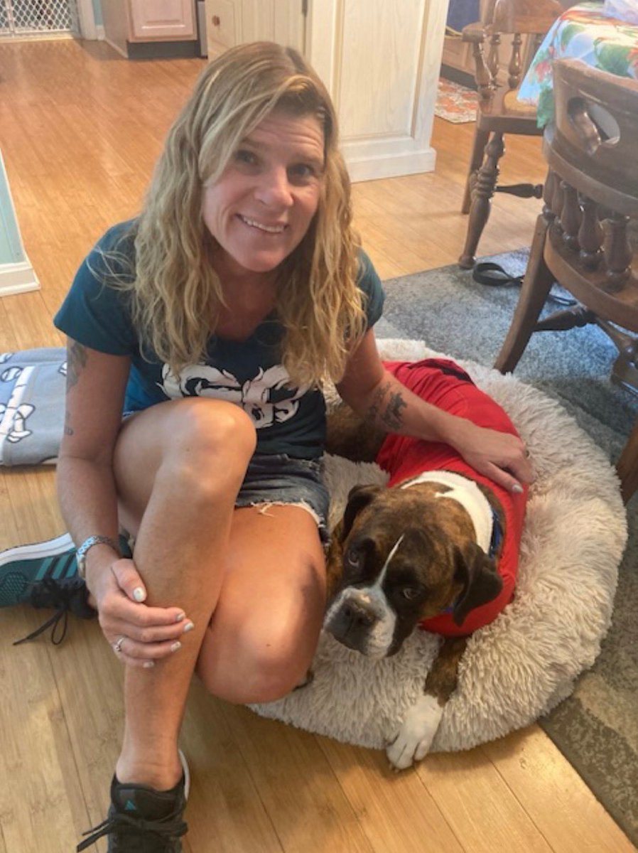 adopt_boxer's tweet photo. Somebody say #sweaterweather? Check out our Sophie living her best life in her #foreverhome. From #milldog ➡️ #foster ➡️ family. #BoxerDogs #AdoptDontShop https://t.co/fxvqJemzBv