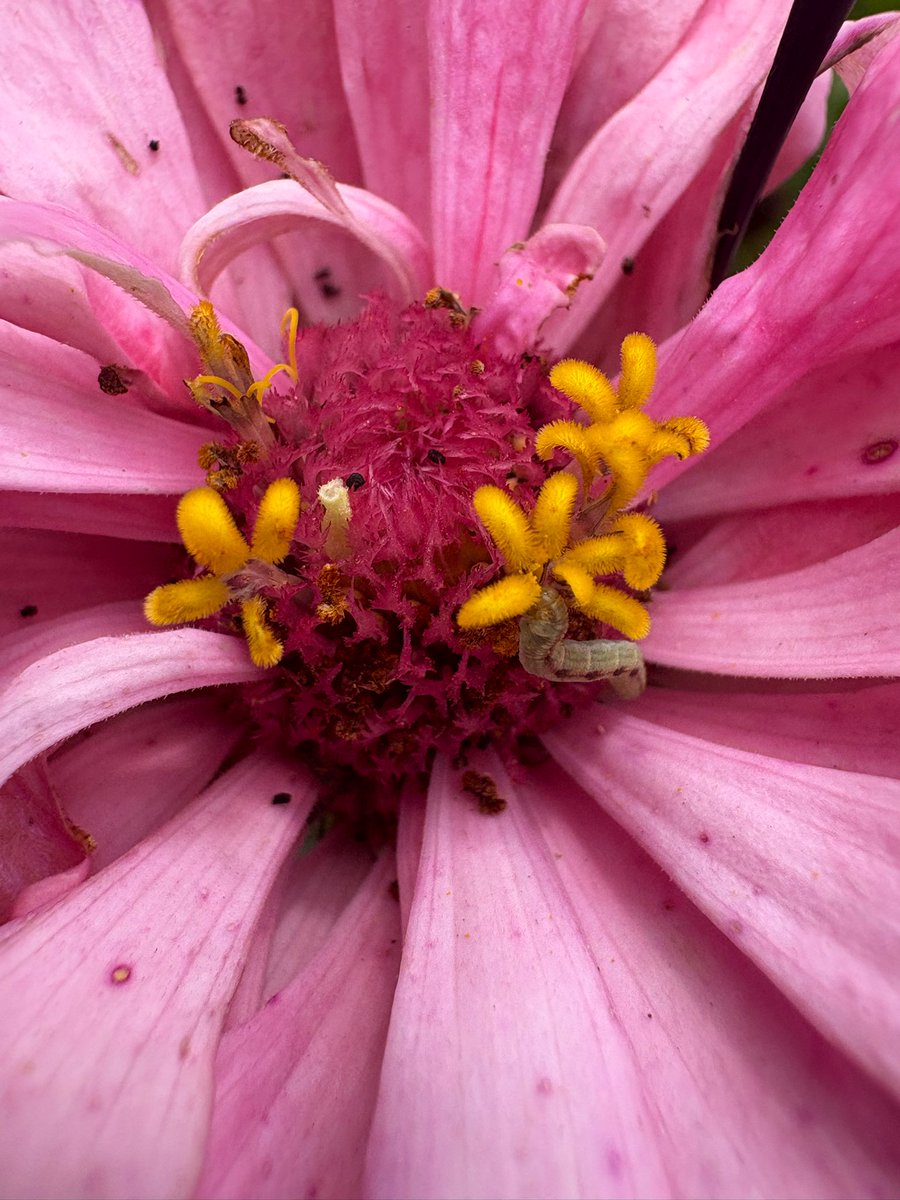 Beauty is in the eye of the beholder