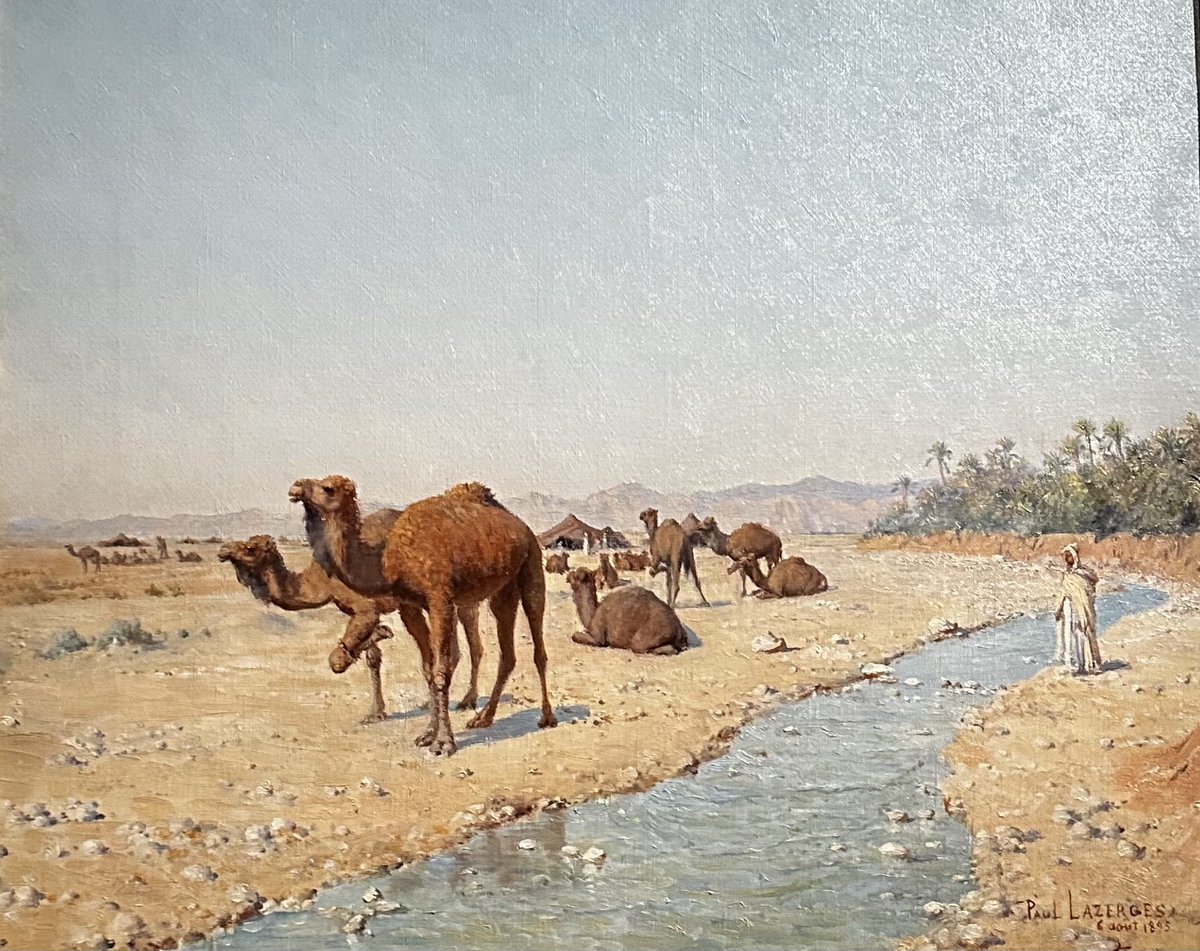 BullTerrierDansLeCalecon92 tweet media