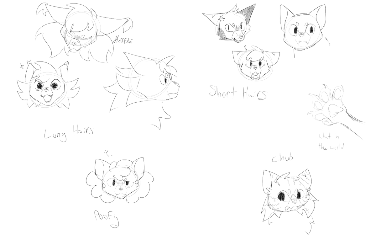Mofffshi's tweet photo. Cat practice https://t.co/Vf4yT7OIY3
