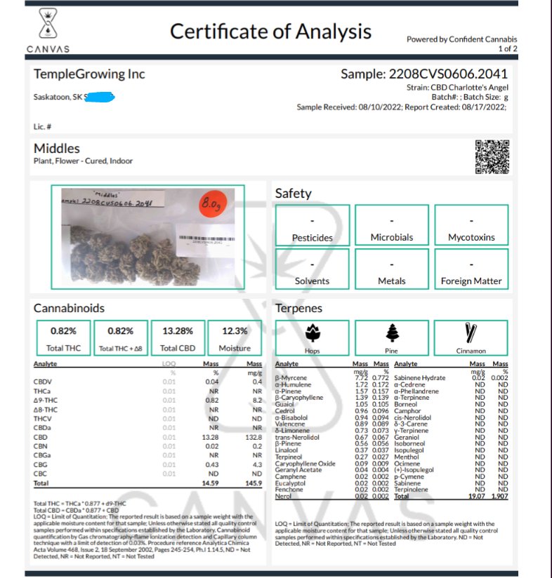 CBD Charlotte's Angel. Proper CBD ganja, not some shit hemp. One of my favourite plants to grow, even if I don't use CBD flower as much as I should. Some of the best smelling and burning herb I have. Cool terp profile too, love me some pinene. Lucky to have this lady.🌱
