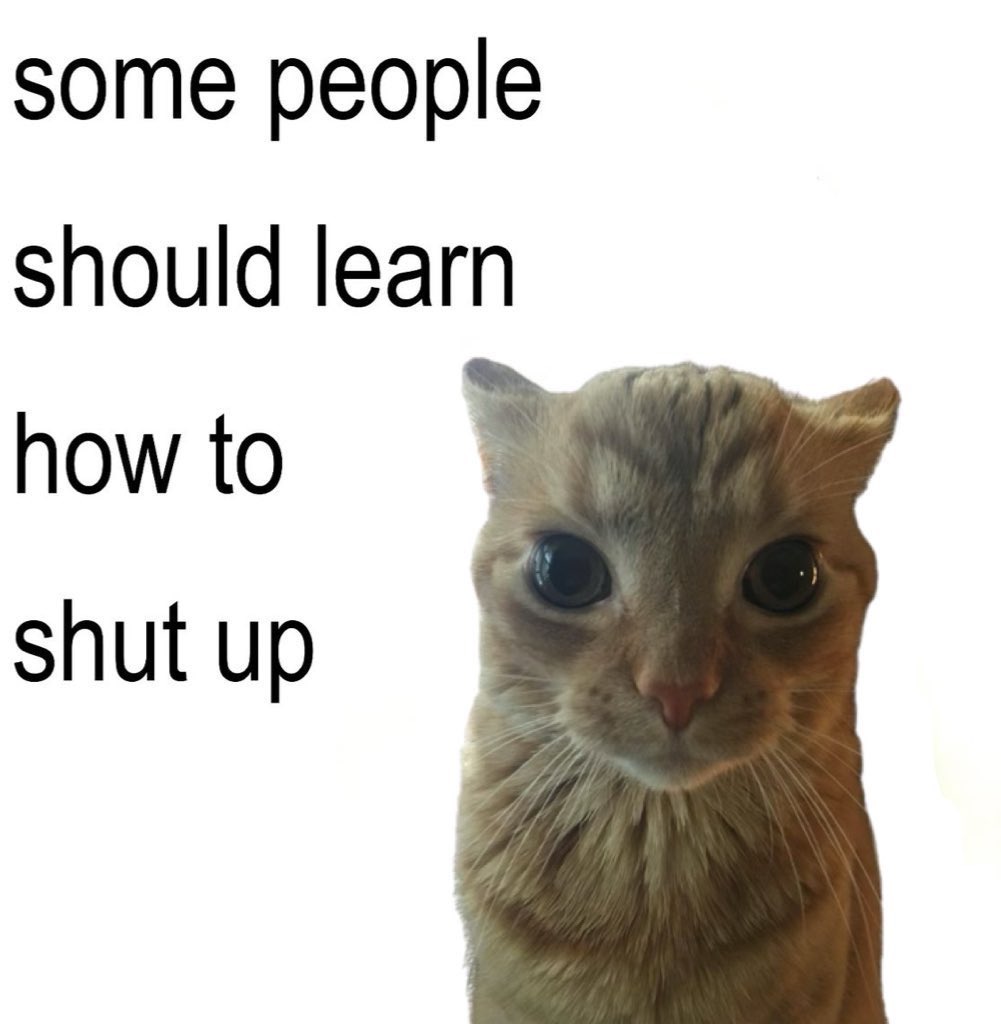 literallymecats's tweet photo. https://t.co/tztBZHX6il