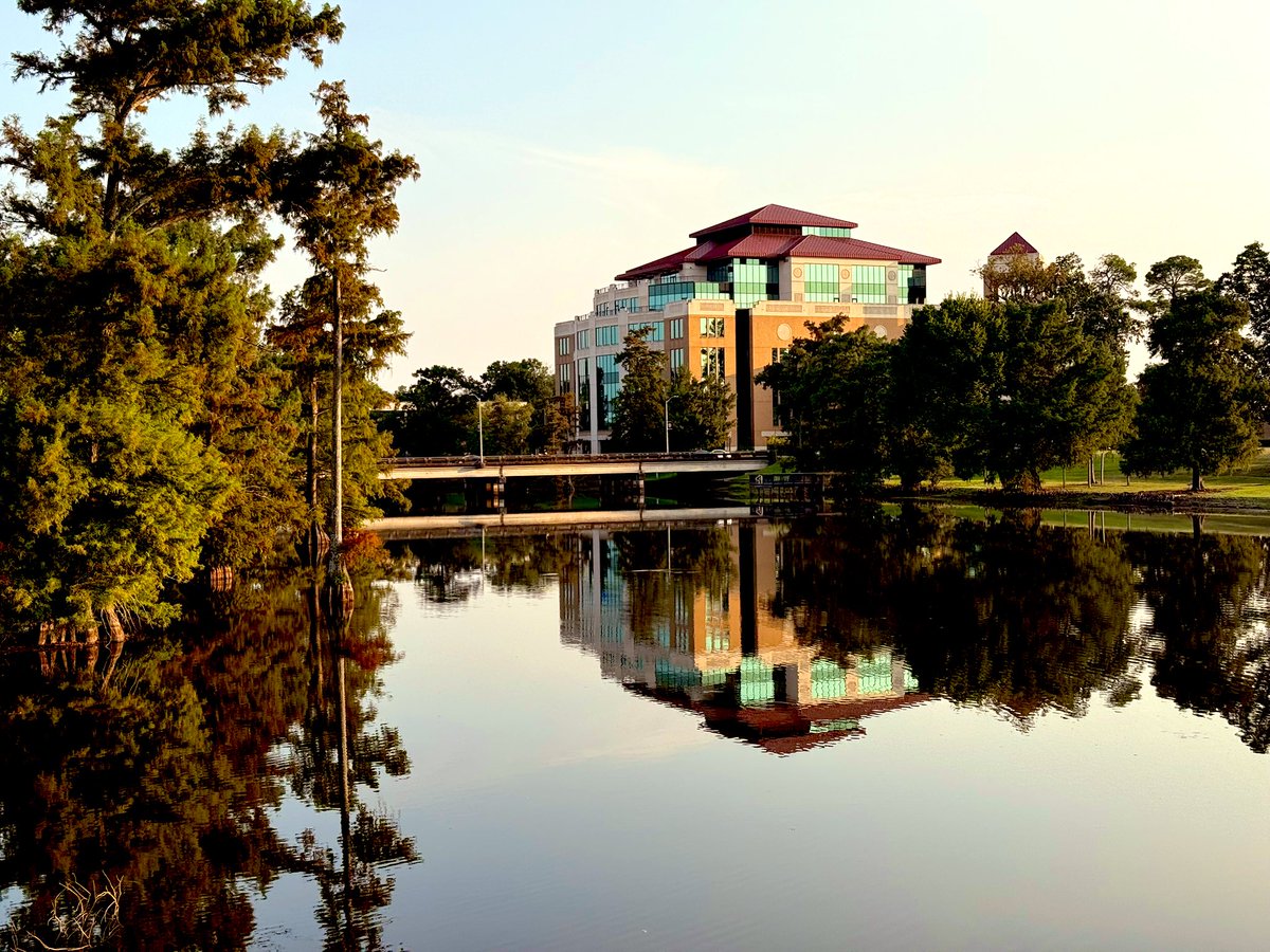 Molly Fichtner tweet media