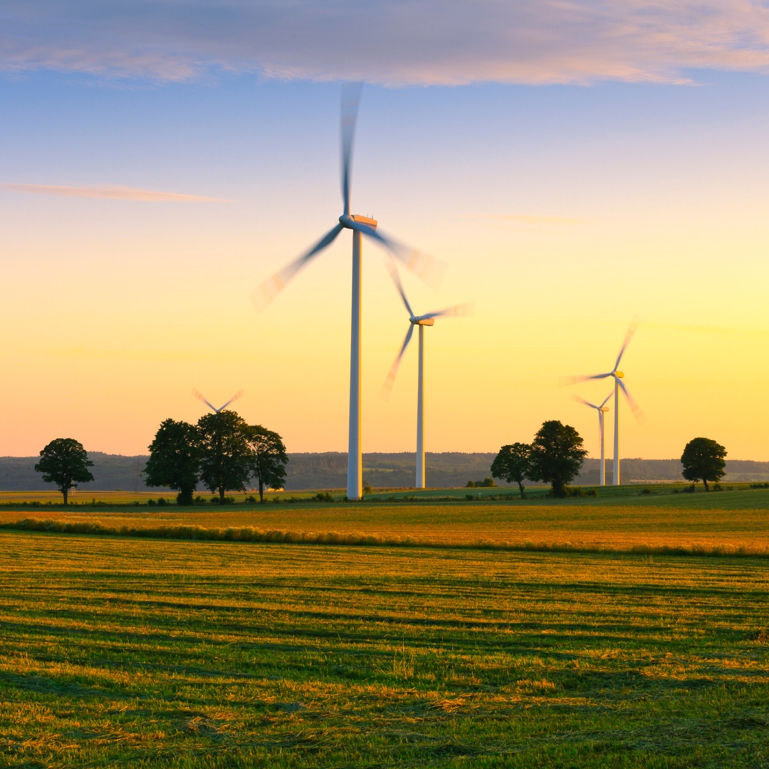 Flow Power tweet media