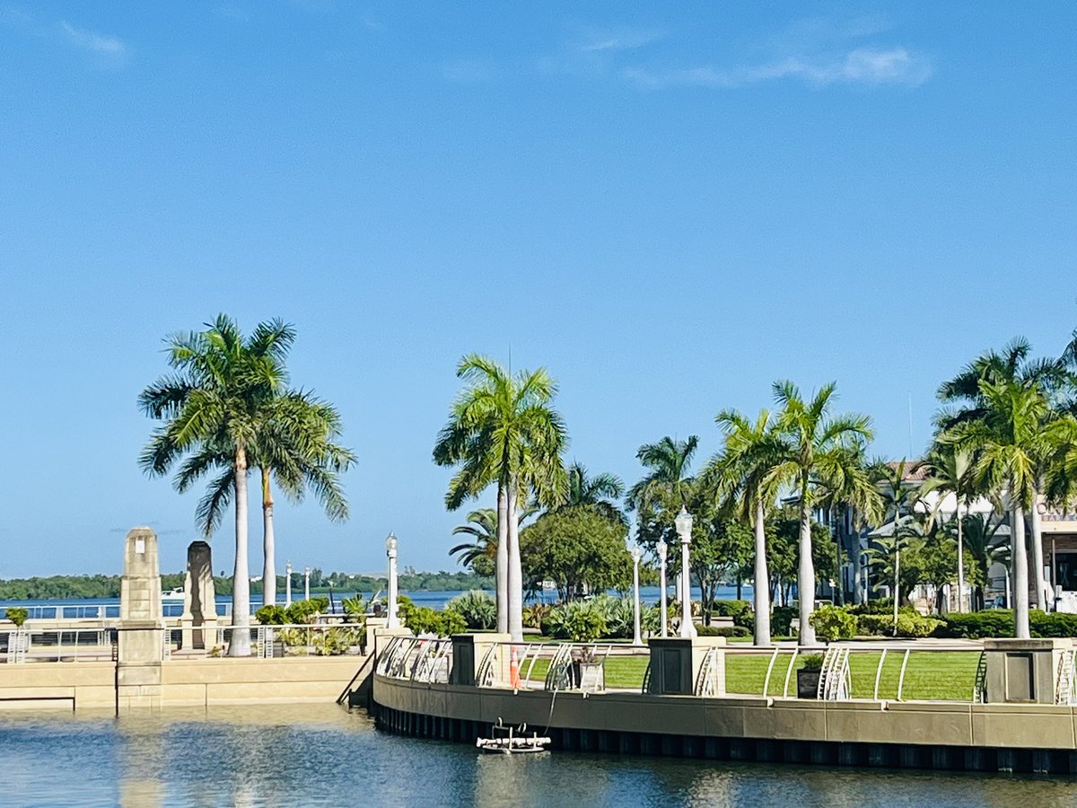 Lotus Solutions LLC tweet media