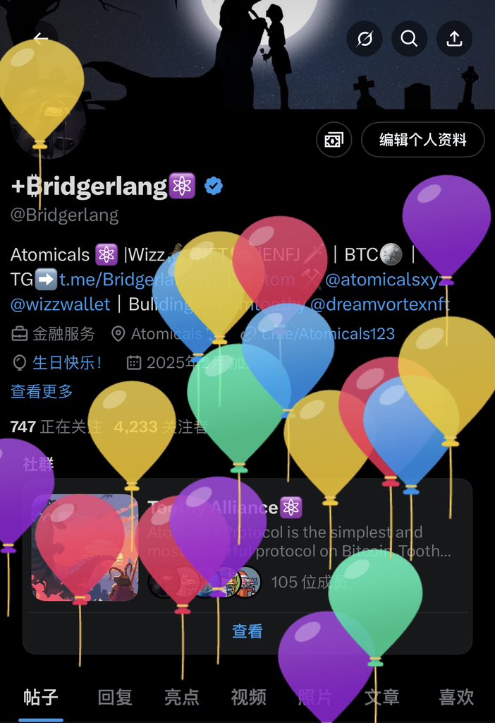 ₿ridgerlang tweet media