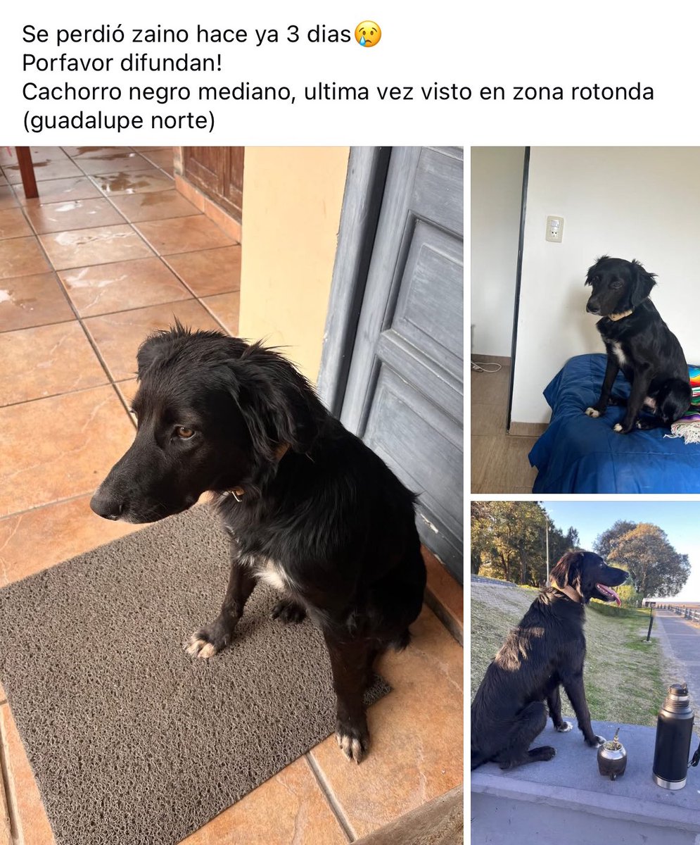 ManuMusculo's tweet photo. Difusion porfavor https://t.co/n1a3b5Ss9M