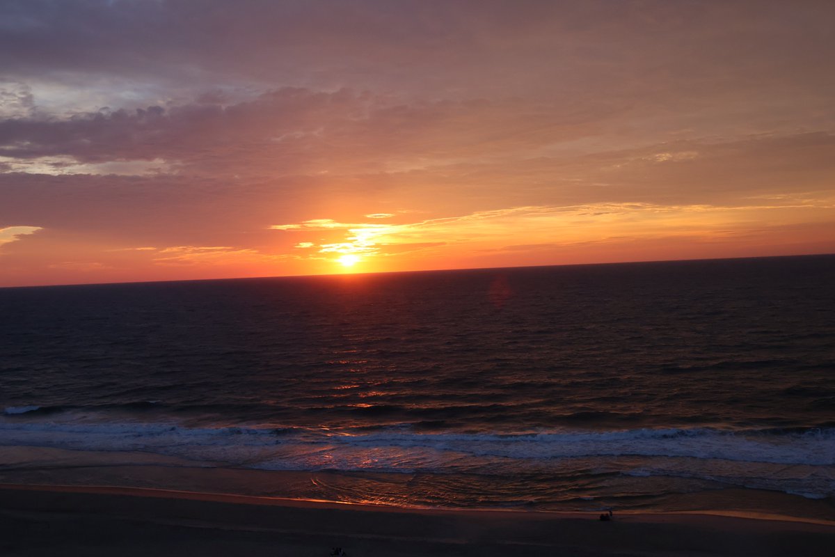 Sweet Rose Photography (@gearhart4) on Twitter photo 