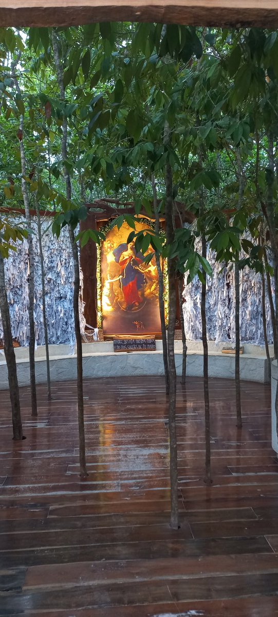 Desata, Madre, los nudos que detienen a nuestra Patria.
Los que la hacen retroceder.
Los que le impiden ser libre.