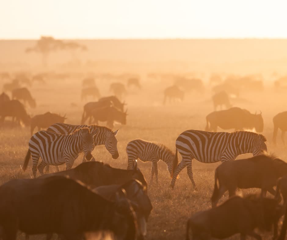 Ker & Downey tweet media