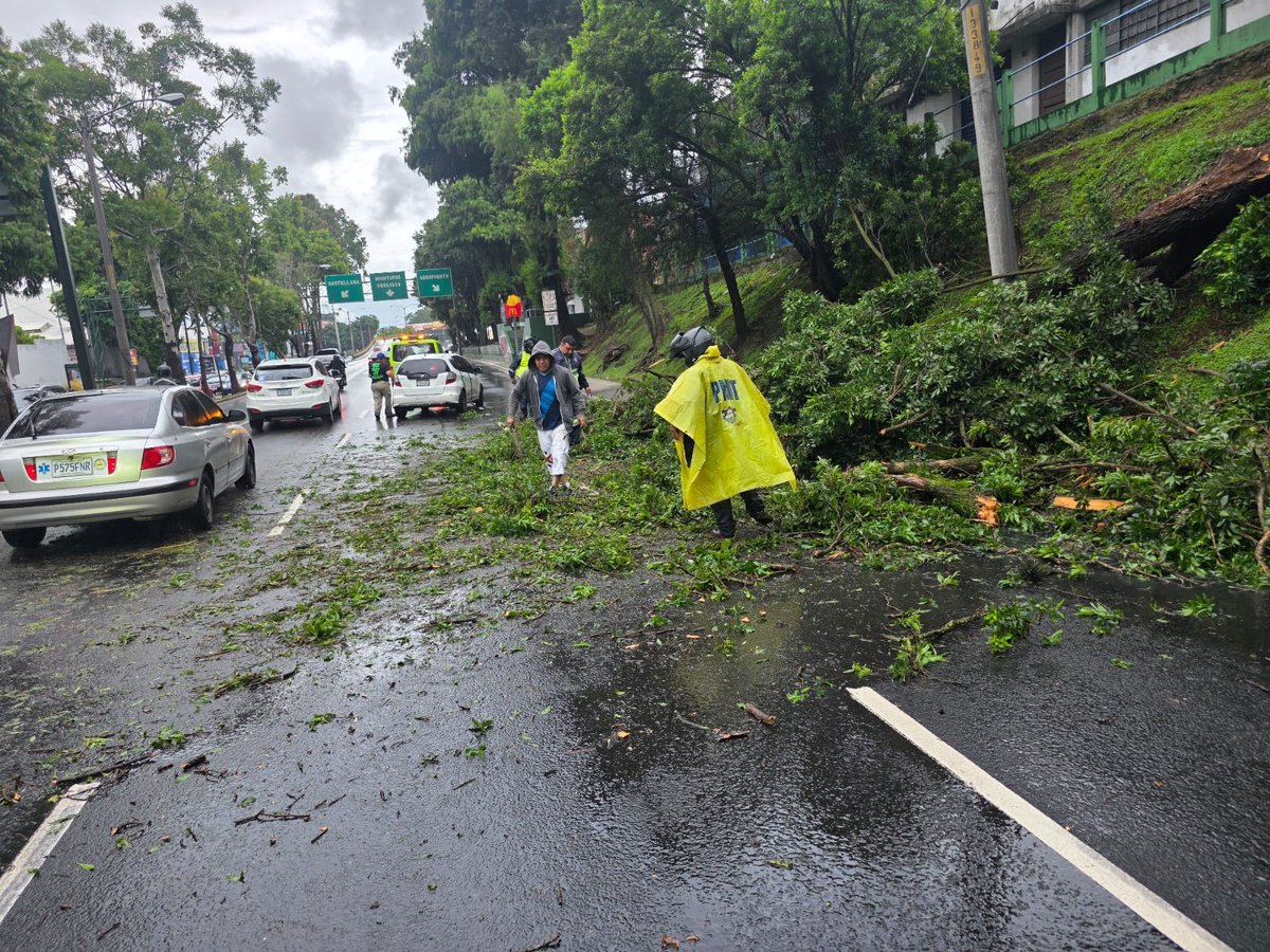 PMTMuniGuate's tweet photo. #PMTinforma 
Árbol caído en bulevar Liberación y 1ra. Avenida zona 13.
 Obstaculizando la vía, agentes PMT  apoyando para liberar el paso.👮🏻‍♂️
Si transita por el sector, conduzca con precaución. 

#TrabajarParaServir #UnLugarQueAvanza #TraficoGT #TránsitoGT https://t.co/ulHr4YUY6k