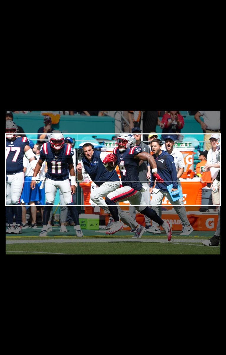 New England Patriots tweet media
