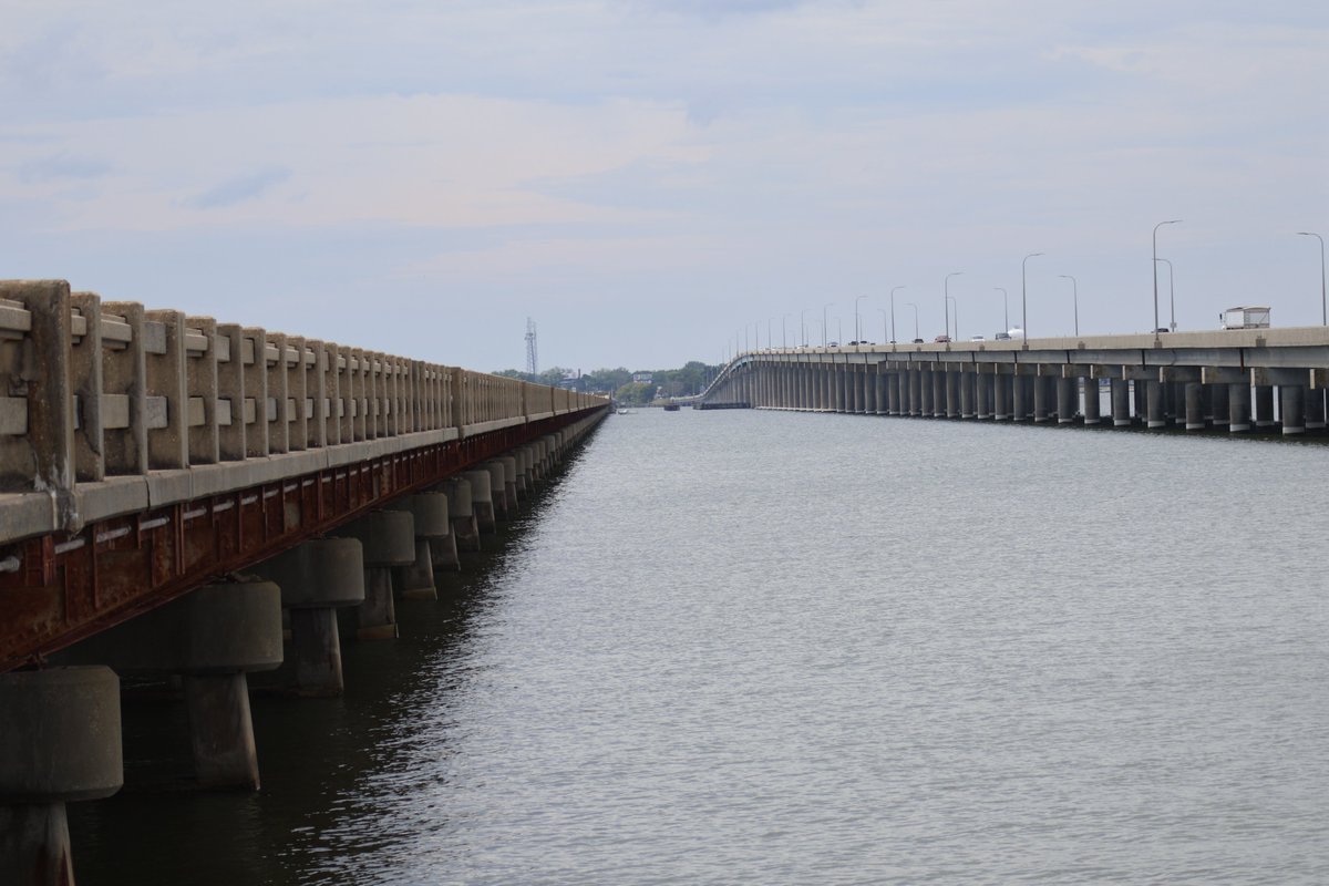 Sweet Rose Photography (@gearhart4) on Twitter photo 