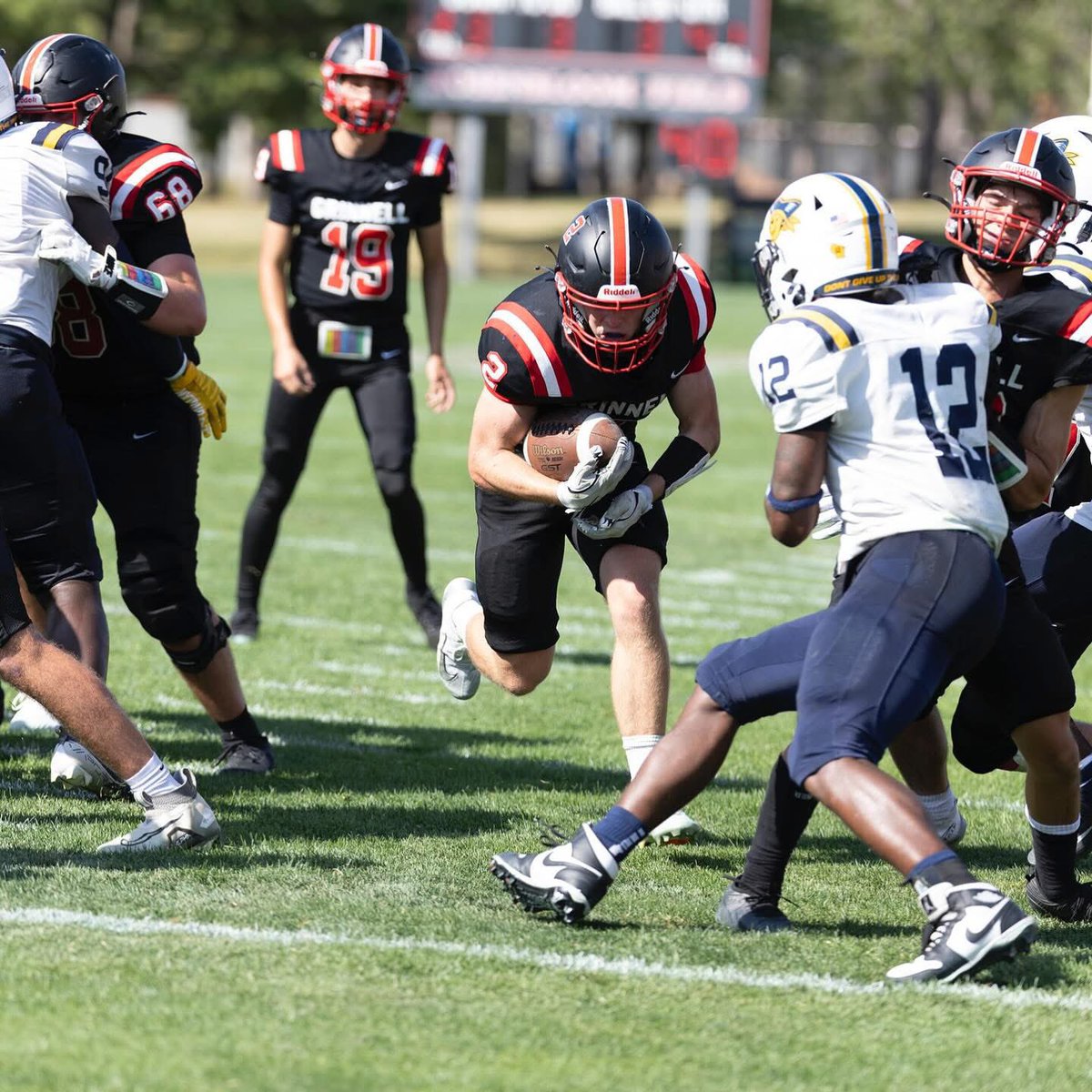 Malcolm J. Gibson tweet media