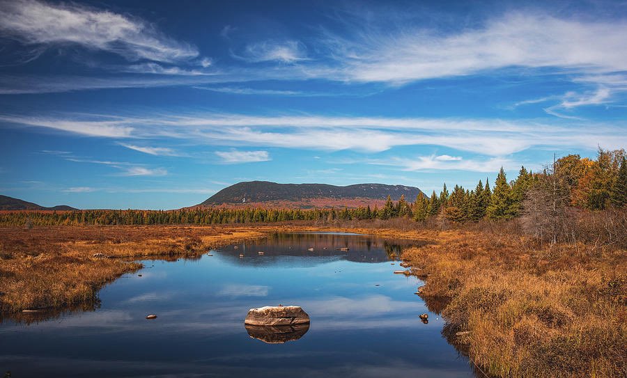 There are places where time feels like it slows down… Lazy Tom Bog in northern Maine is one of them. 🌿✨
(link) 👉 dansproul.com/featured/lazy-…

#Photography #Maine #Nature