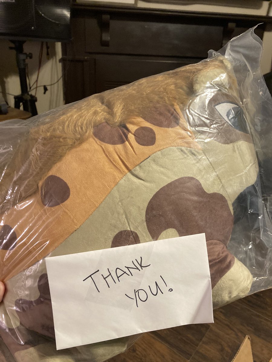 BayouBird tweet media