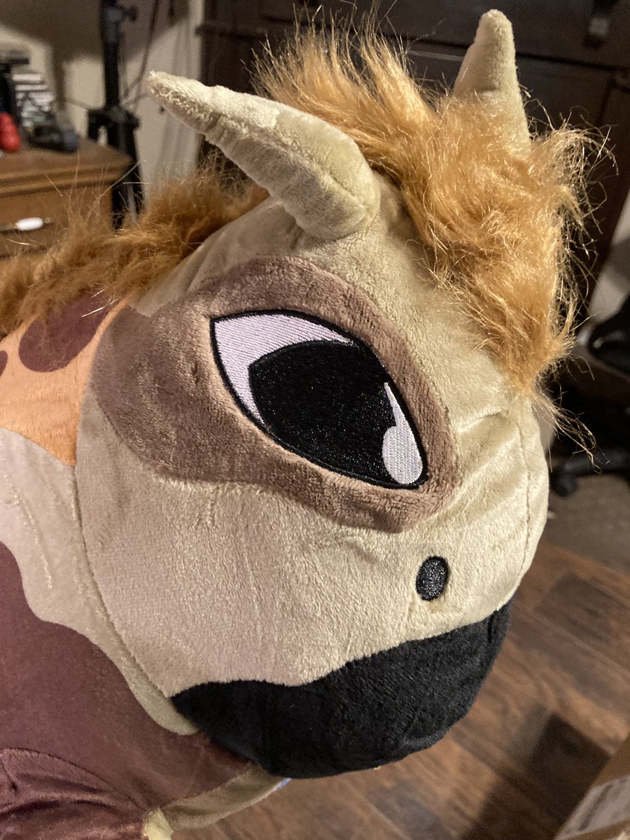 BayouBird tweet media