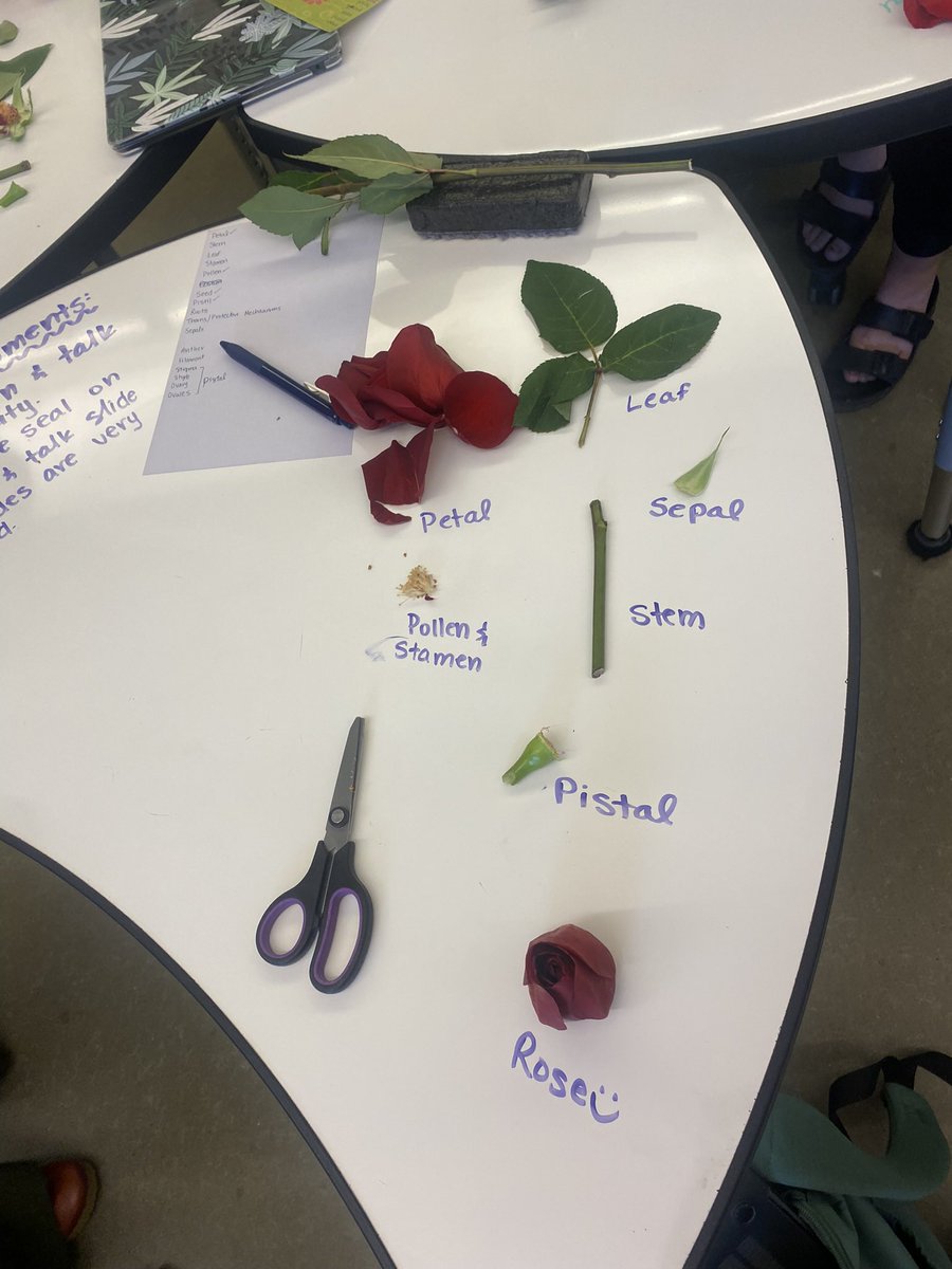 Led a presentation on Earth Science and how we as teachers can learn more about it and use it.. same for students! 
<a href="/PapaeWymore/">Papae</a>