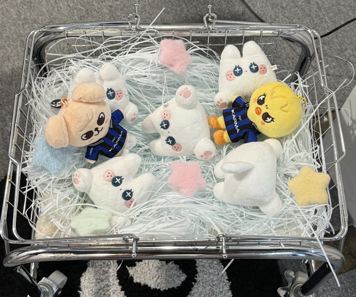 작년에 못갔는데 요번에 갈수있어서 넘 좋았던 생카! 파랑파랑 한것이 딱 용복이를 떠오르게 했던 생카🩵
 #추신_나의_파랑을_담아