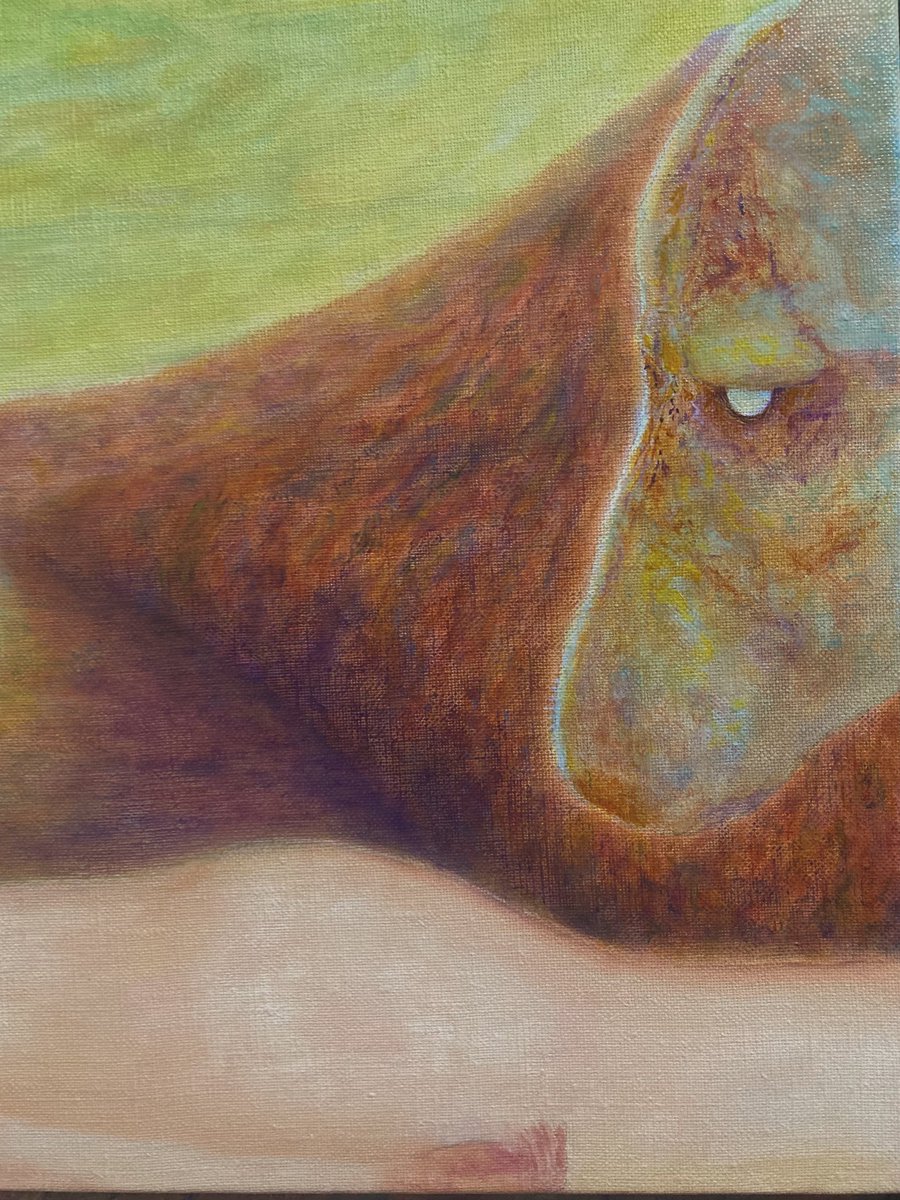 Minoru Kogishi (@mkogishi15702) on Twitter photo 