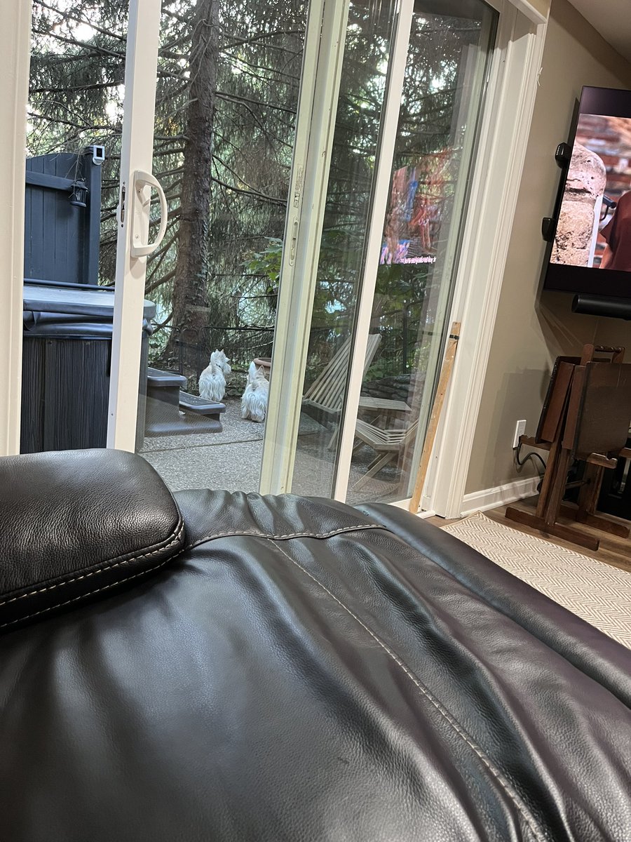 rozcar28's tweet photo. Meanwhile there’s also a small patio… #Dogs #Scottishterrier #SoMuchToExplore https://t.co/FUS2jIFjI8