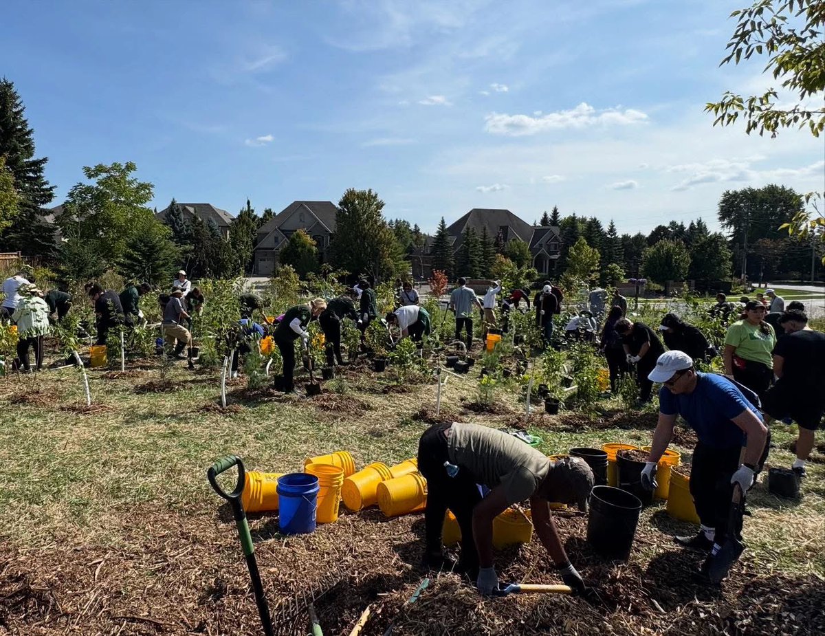 wavesofchanges1's tweet image. Today Waves of Change for Autism spent a  beautiful afternoon in Kleinburg with our #TD Partners contributing to a Greener Planet for #TDTreeDays 🌎

Thank you #TD for contributing to the Green Spaces of our community 💚va