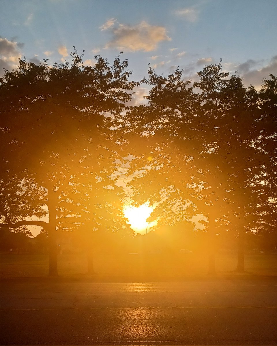 WinningNow tweet media