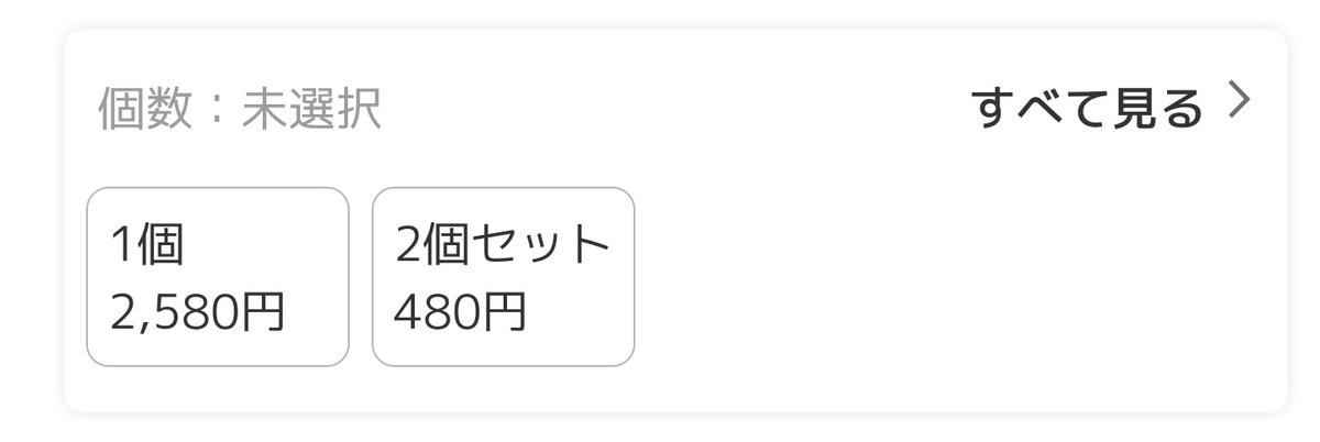 これ、多分4800円の入力ミスよね…この隙に2個買ったら480円で買えちゃう…？
あとから4800請求される？