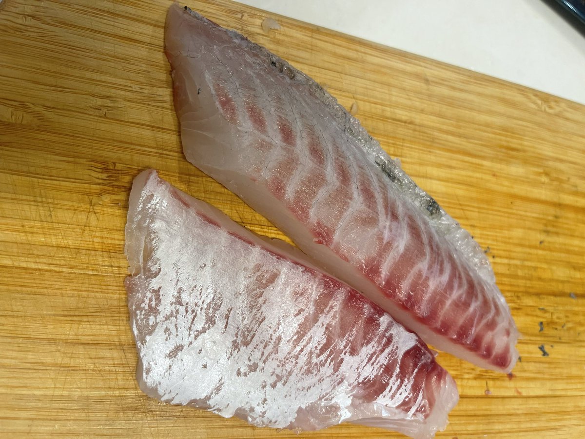 今年のクロダイはよく脂乗ってる🤤