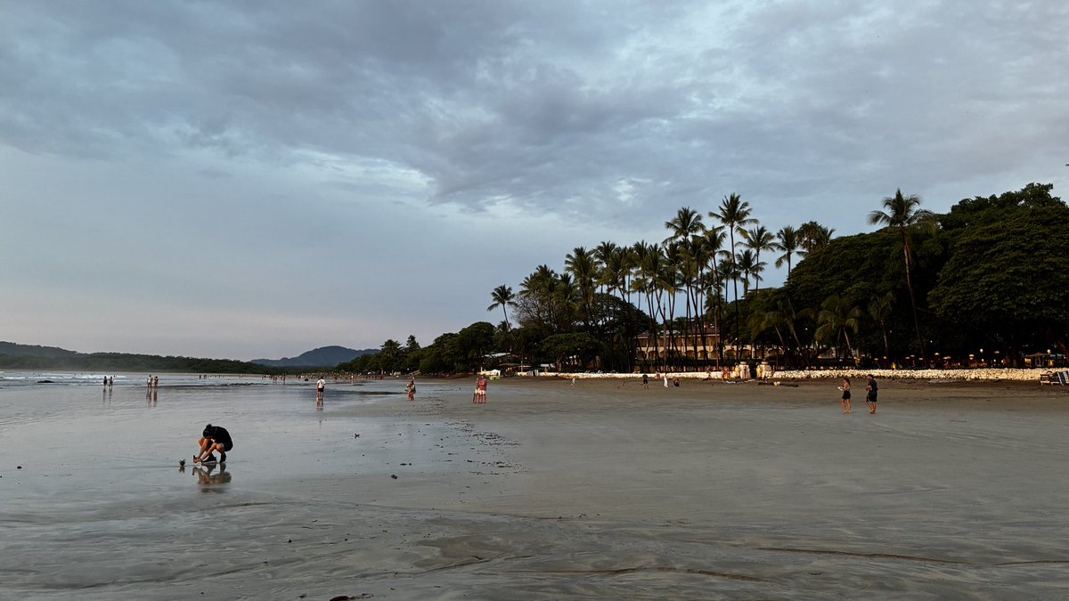 tweets by poeppel tweet media