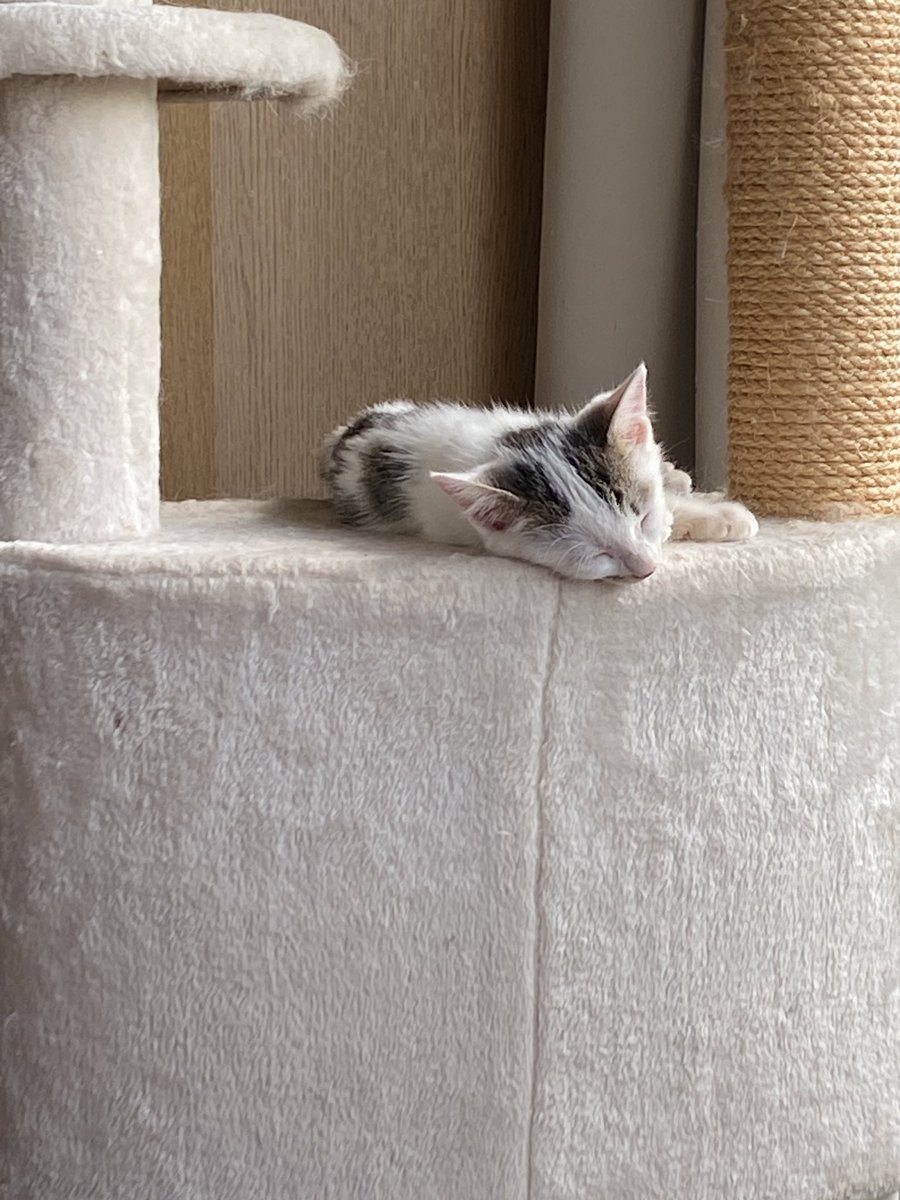 詳細は追って告知します