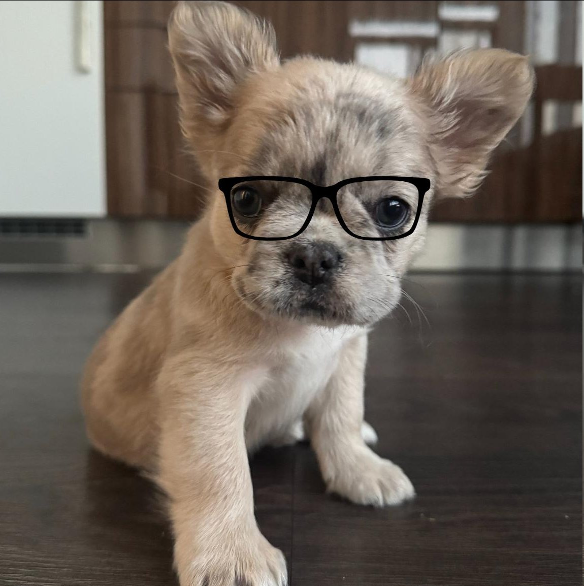 $fumi shes an intellectual